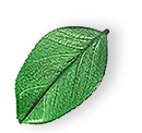 https://grebcoluxurycleaning.com/wp-content/uploads/2025/07/floating_leaf_01.png